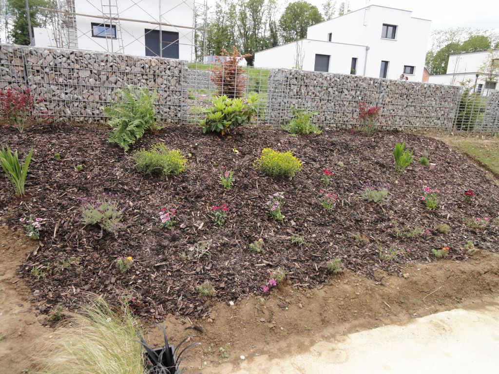 Debut de plantation sur notre talus. Un peu de vert ca fait du bien! vivement que ca s'etoffe et que les bulbes de Lys et de Crocosmia fleurissent.