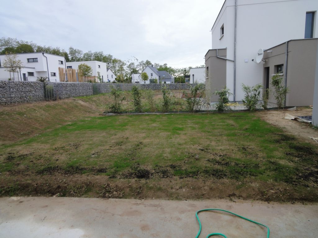 un peu moins de 3 semaines apres le semage de notre gazon, ca pousse lentement mais surement. J'ai illico resemer des graines la ou il y avait de gros trous. Un peu de soleil et de chaleur, et ca devrait aller plus vite!