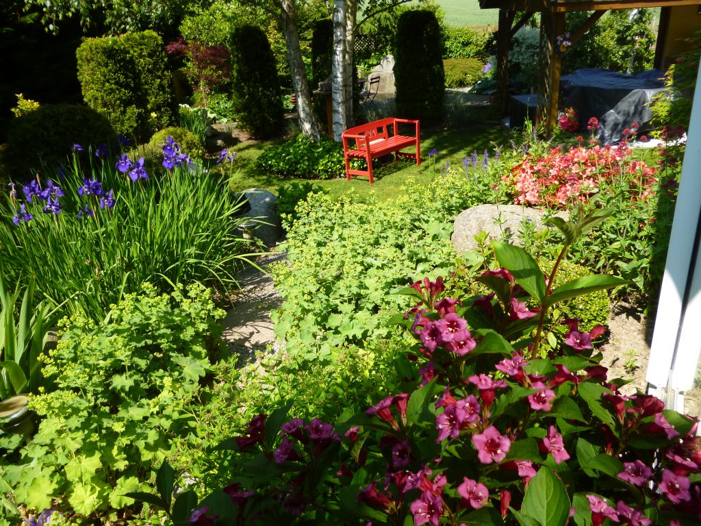 Jardin millsime 2013: iris, valrianes et azales en fleurs