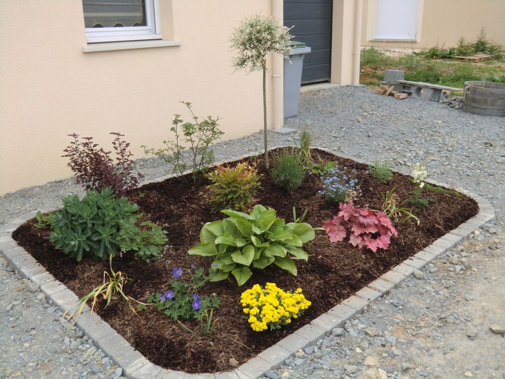 Des nouvelles de mon massif : �a pousse, �a pousse !!!