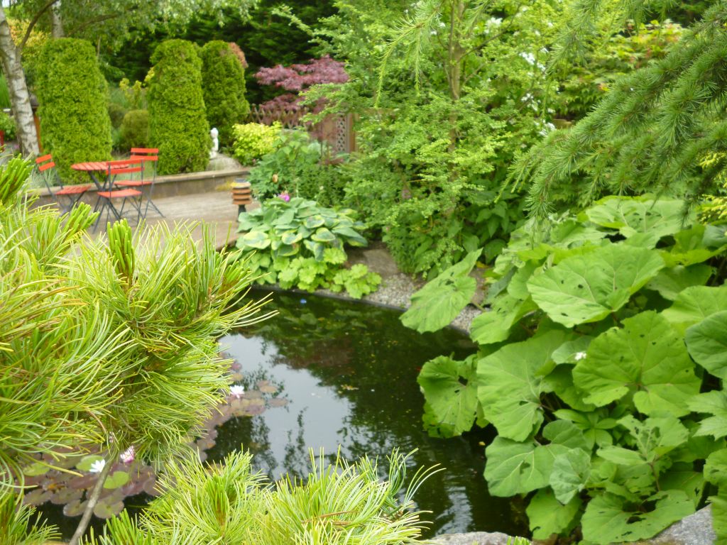 Vgtation autour du bassin