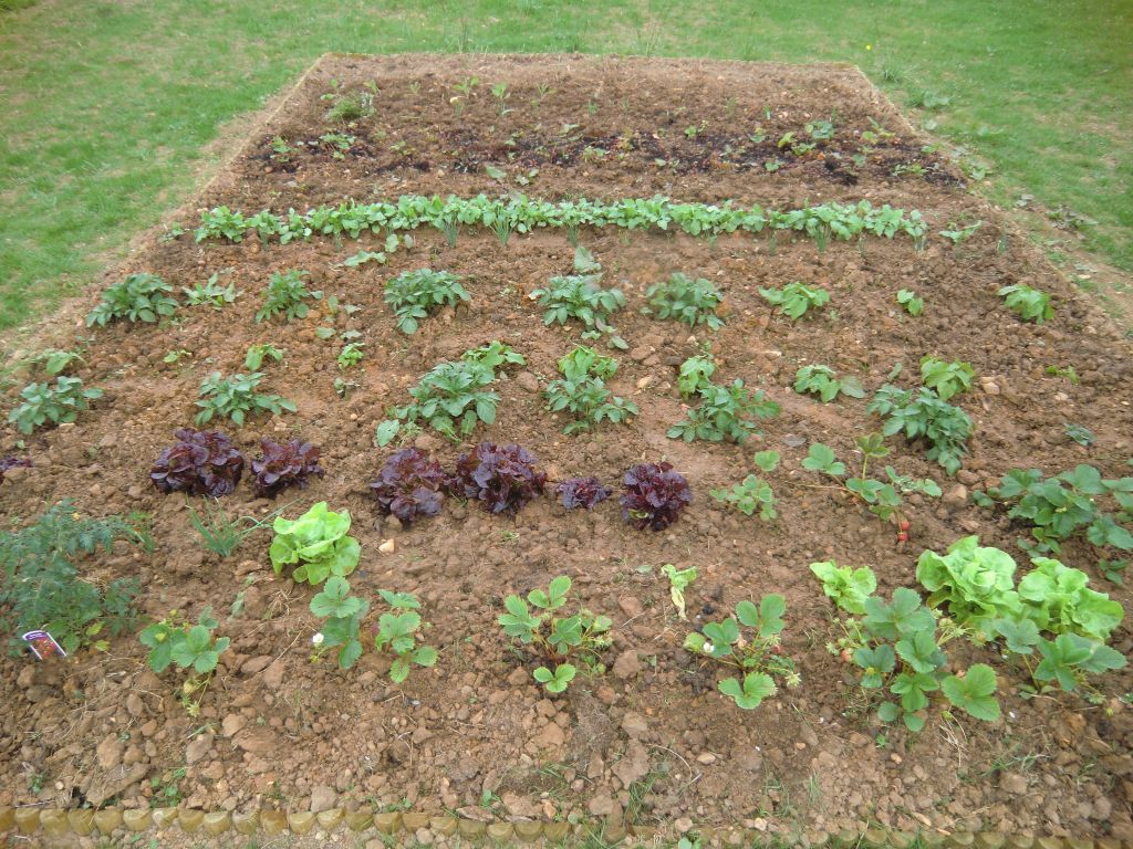 Potager