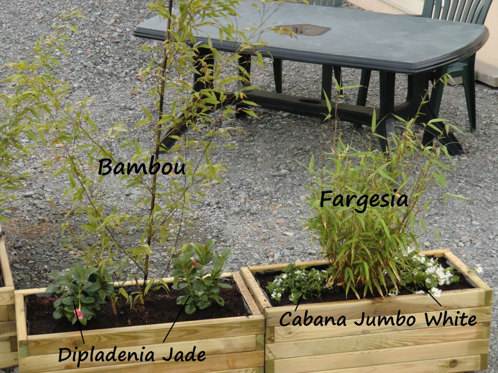 D�tail des jardini�res