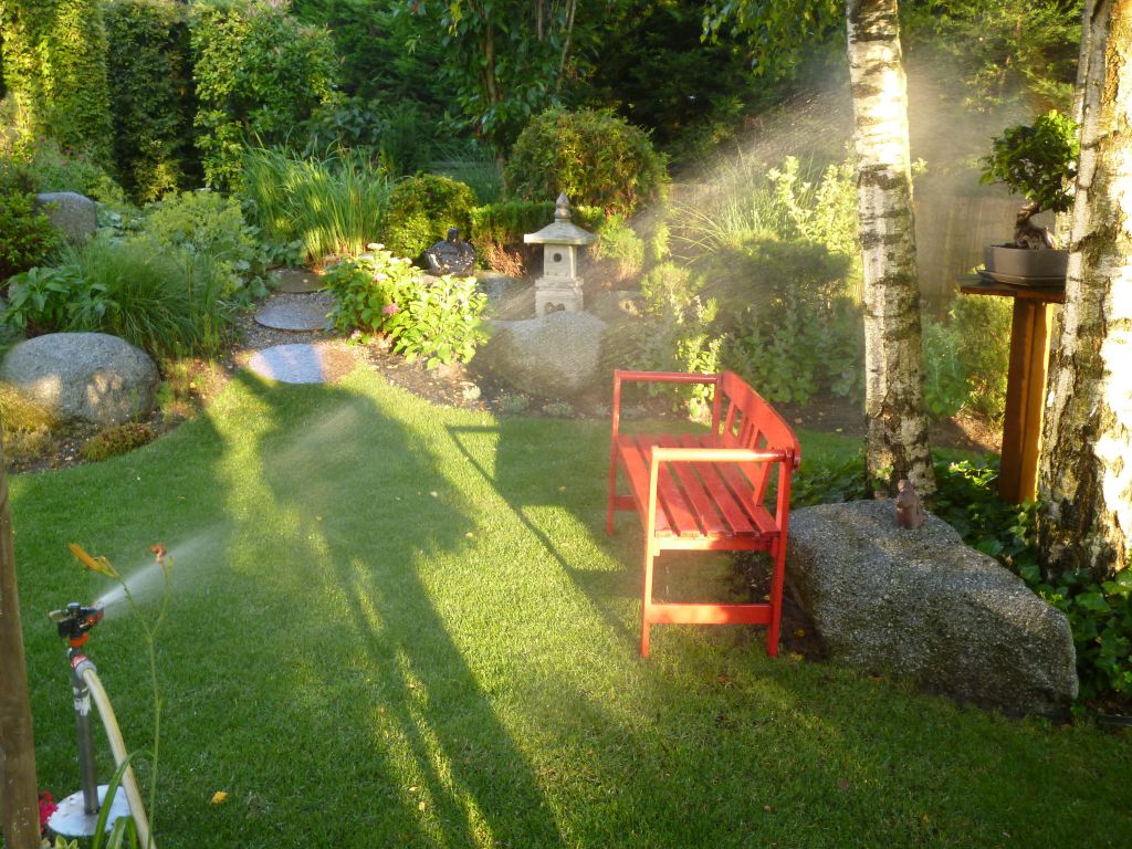 Arrosage de la pelouse au coucher du soleil