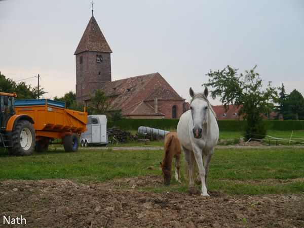 les voisins