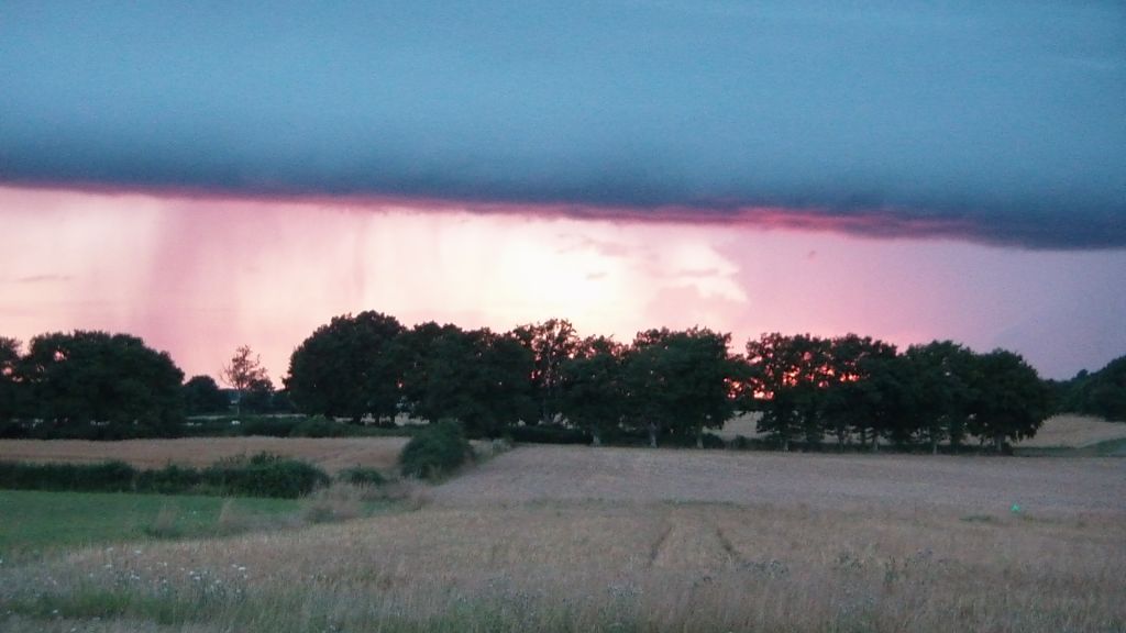 Arcus