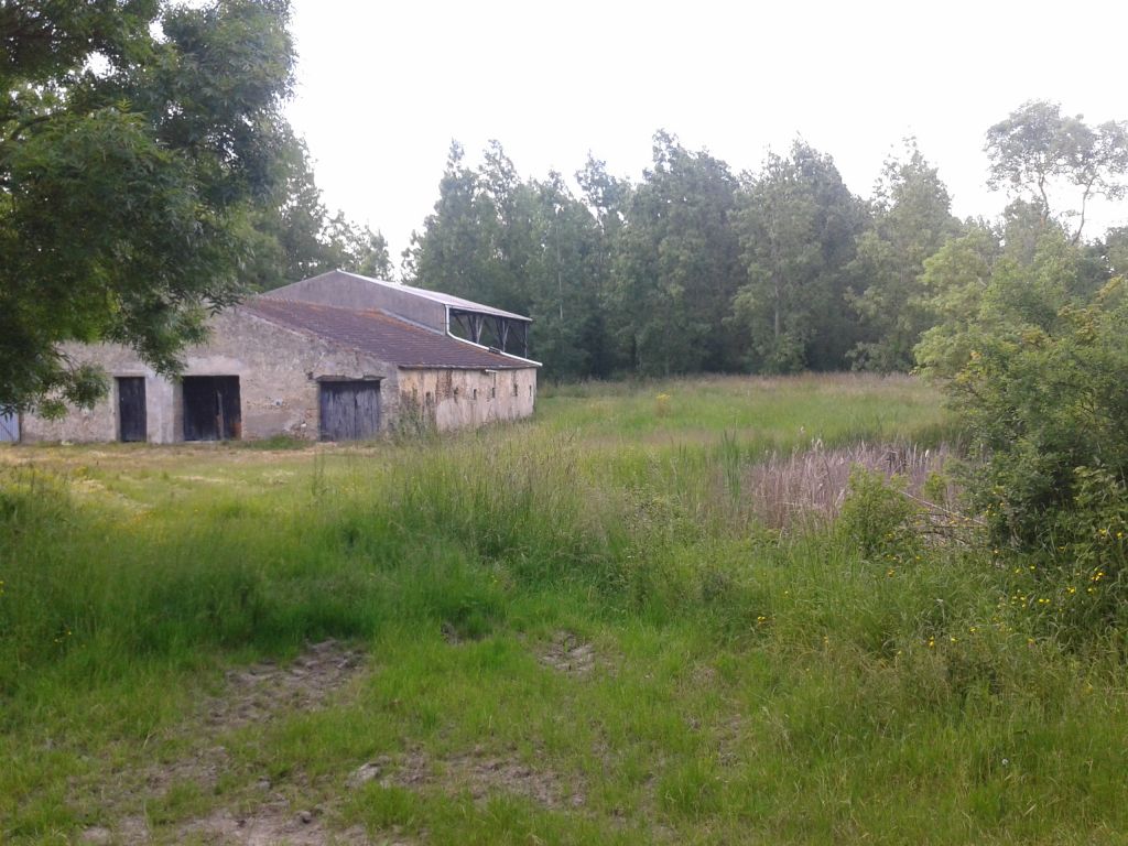 Vue de la grange avant travaux, pignon Sud