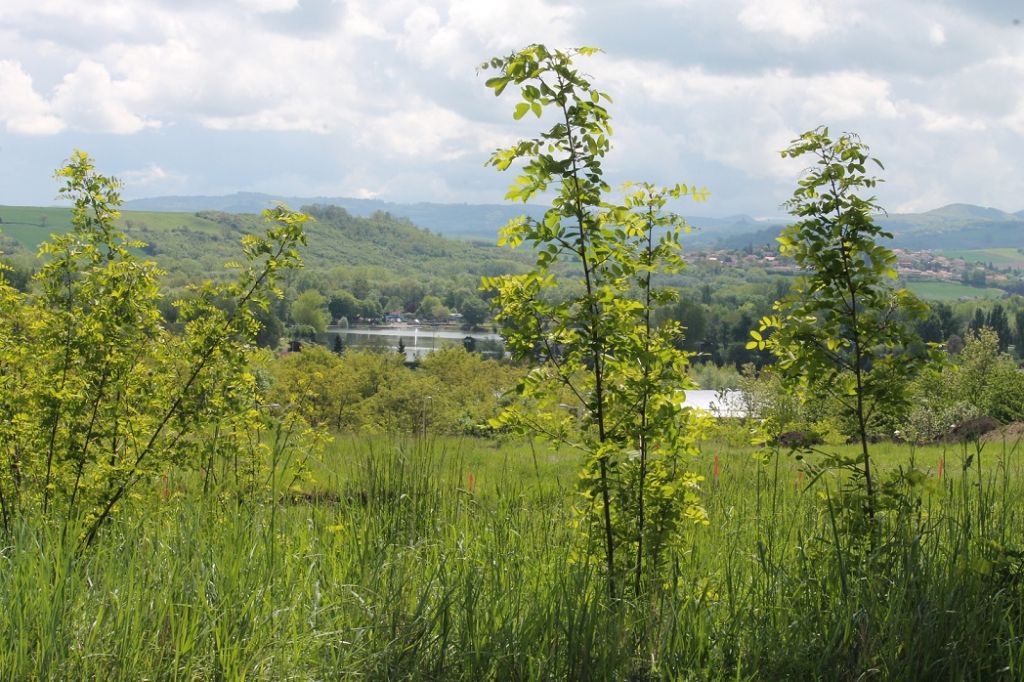 Vue sur le plan d'eau depuis le terrain