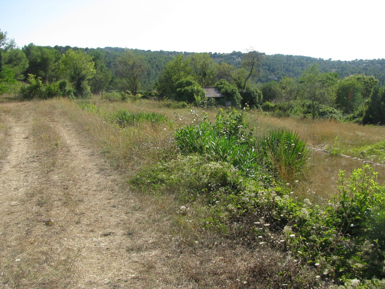 Le terrain, pas encore dbrouissaill !