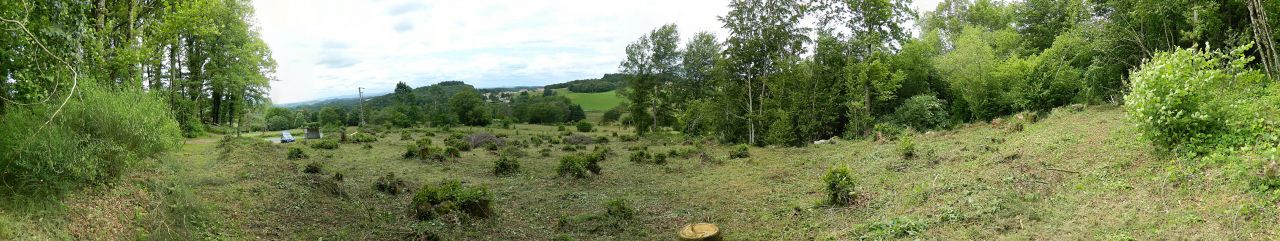 Le terrain un peu nettoyé, on voit bien le nombre de souches