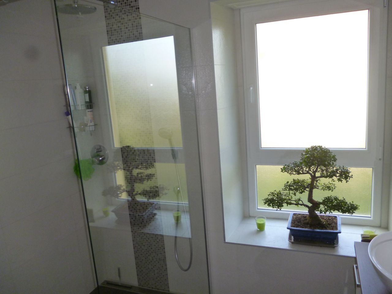 Rnovation salle de bains termine: vue de la douche et du bonsa