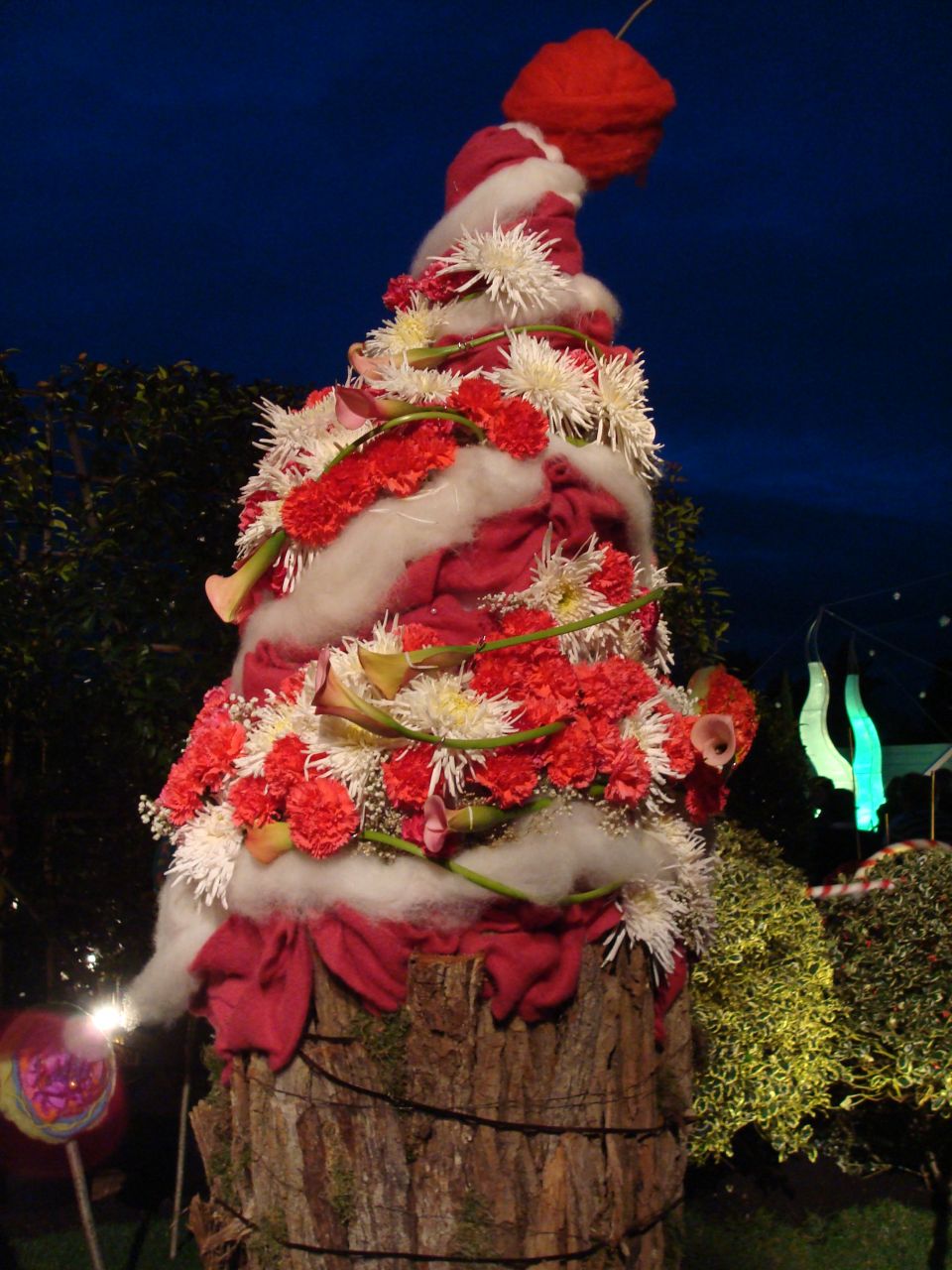 Folie Flores de Mulhouse, edition 2013