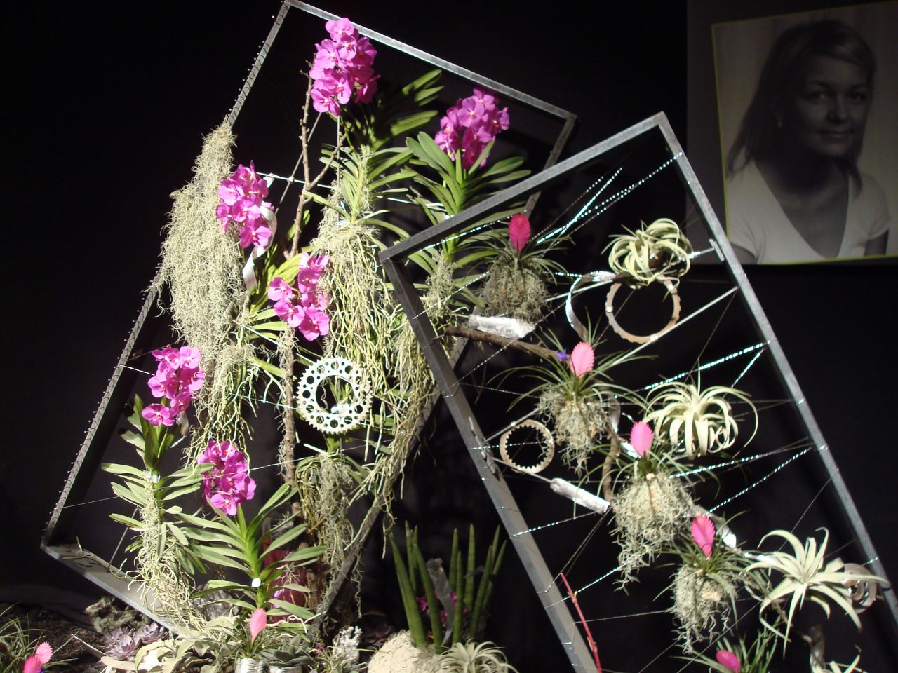 Folie Flores de Mulhouse, edition 2013