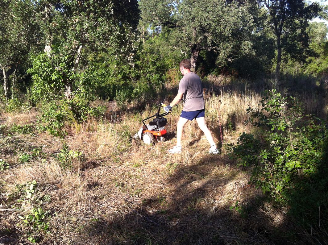 D'abord un p'tit coup de motofaucheuse