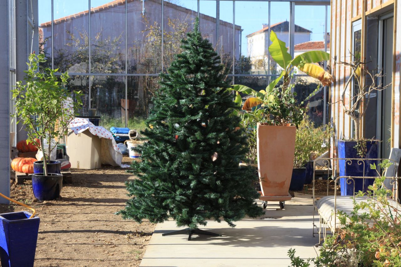 Le sapin de Noël a pris place devant le salle de bain, il restera à le décorer