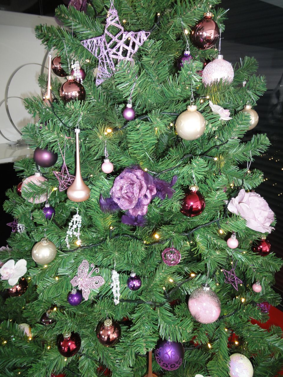 Sapin de Noel 2013 en rose et violet! avec les chatons, on a malheureusement prefere renoncer aux cheveux d\'ange et guirlandes...c\'est plus sur parce que deja comme ca on croise les doigts...C\'est joueur un chaton!