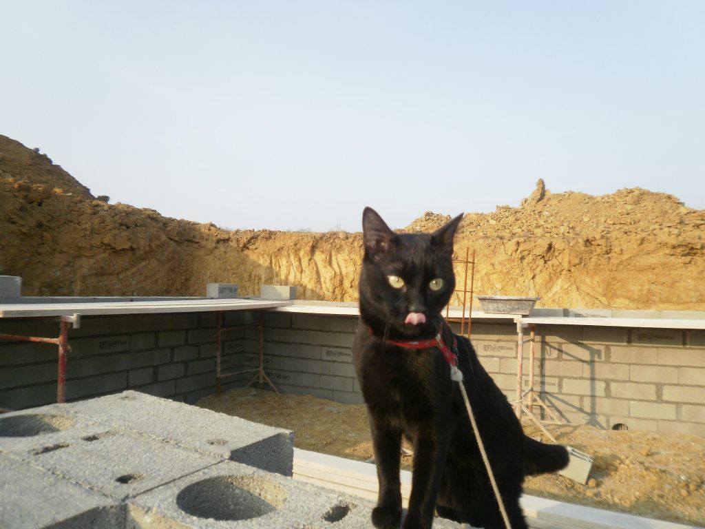 Petit clin d'oeil à notre chef de chantier