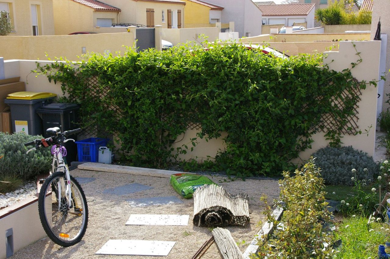 Evolution du jardin.