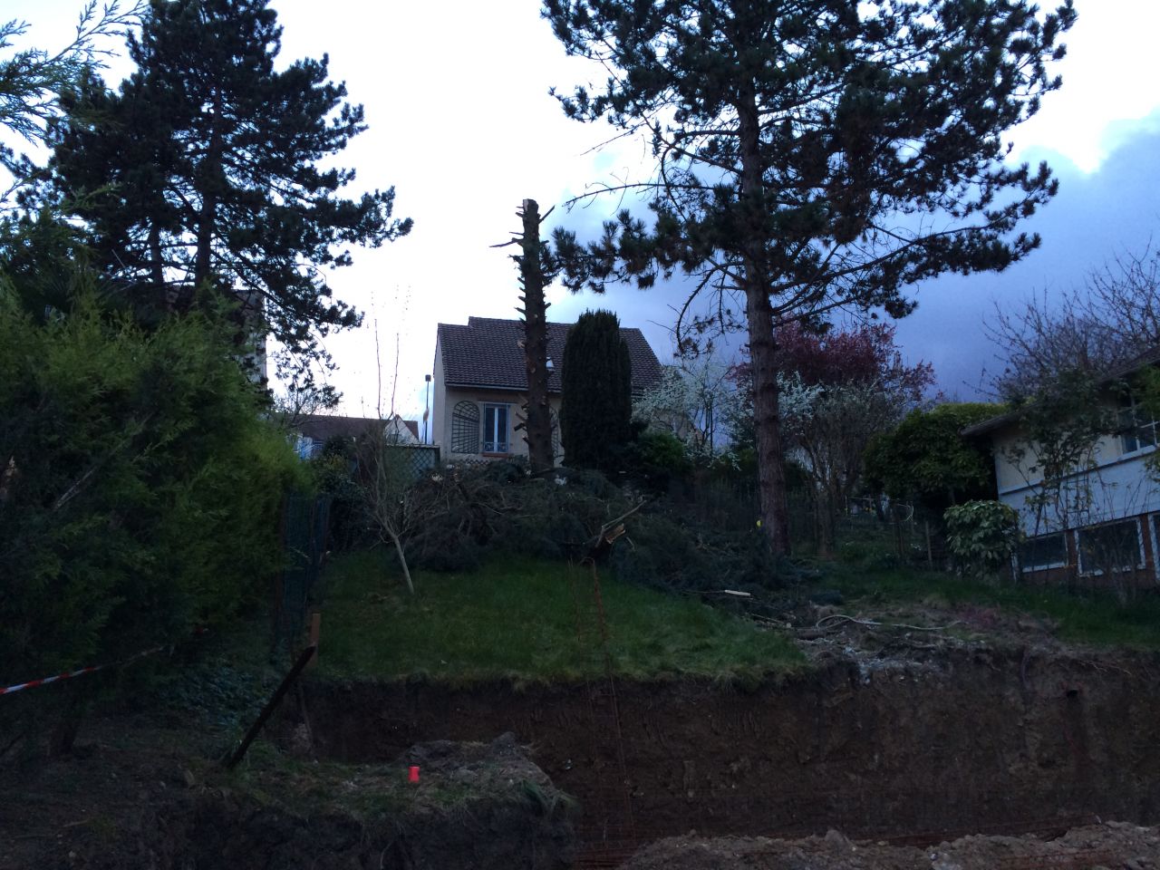 coupe de l'arbre en limite de terrain