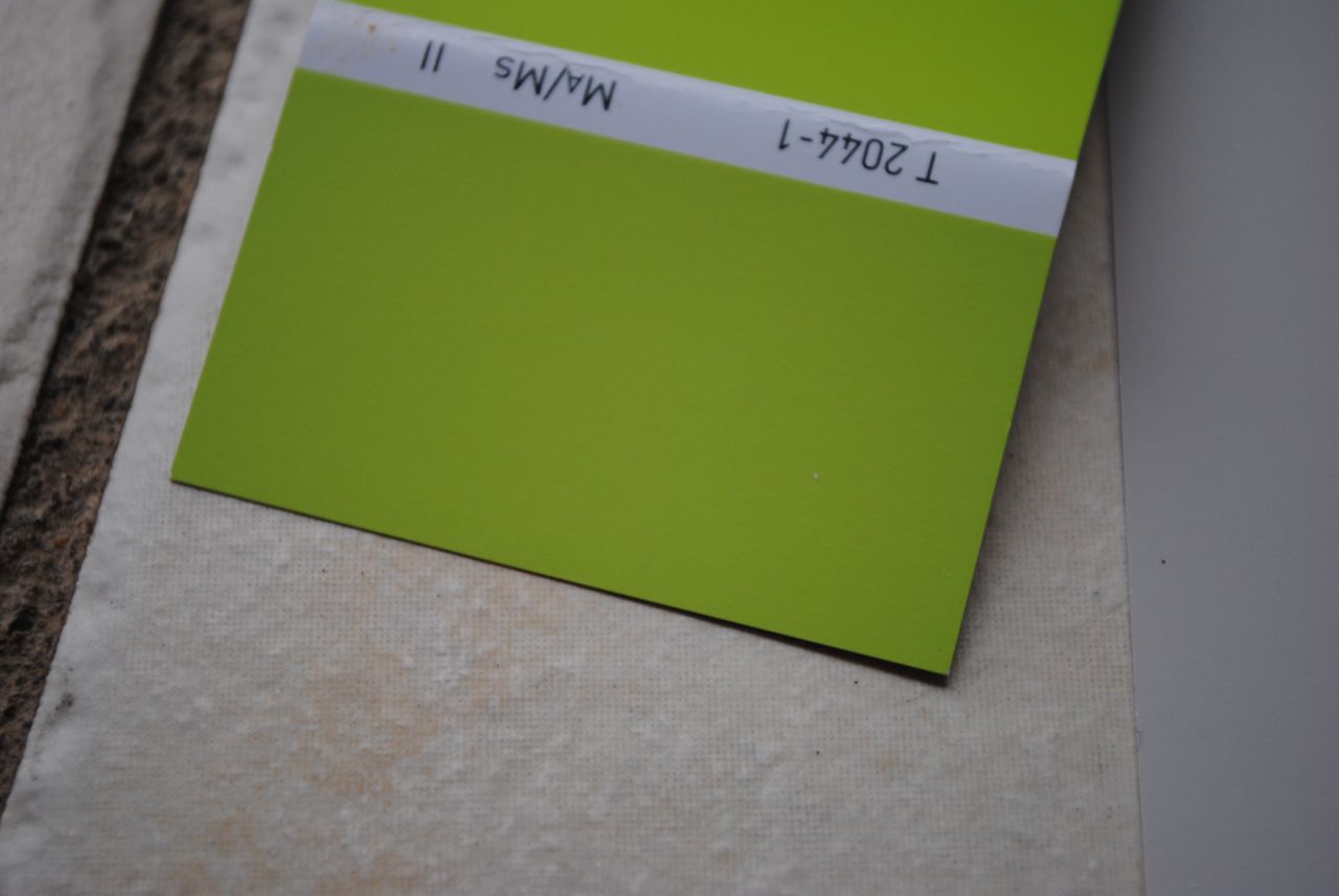 Mur vert anis dans le séjour pour égayer le tout?