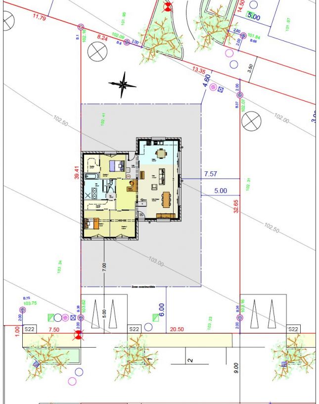 Plan de masse avec maison dessus