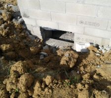 Vide sanitaire