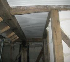 Plafond revers