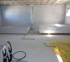 Photo de la livraison des plaques de BA13 et de l'isolant n°7