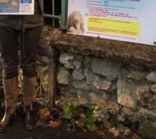 Muret facade rue, on cherche des idées pour l'enduire