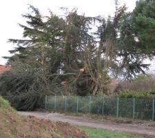 Tempete du 24/01/2009
le grand sapin du voisin est tombé sur notre servitude.
sinon RAS