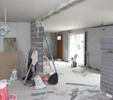 Salon/salle a manger
