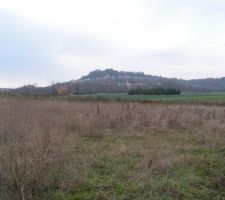 Vue sur le voisin de gauche depuis notre terrasse
