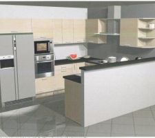 Notre future cuisine