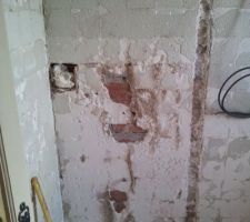 Future arri&egrave;re cuisine : l'ancienne colonne de douche