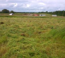 Y avait un peu de taille. Si vous cherchez du foin.....