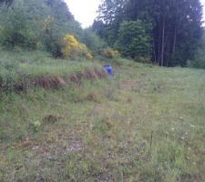 Notre terrain avec un beau plateau, environ 3000m² en tout; dont 1150 constructible