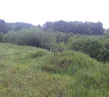 Notre vue, vue sur champs et sur forêt, assez éloignée pour avoir le soleil toute la journée, plein sud
