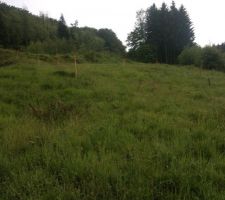 Implantation de la maison!