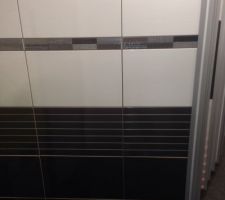 Nous avons été choisir hier notre faïence de la futur salle de bain du haut