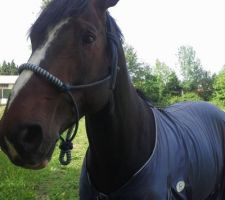 Syrius , notre futur voisin !!! ;)