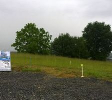 Le permis et les arbres qui bordent le terrain