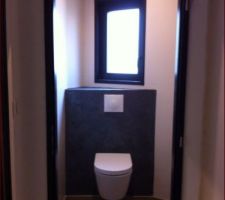 Toilette pos&eacute; :)