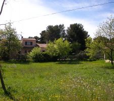 Terrain: vue en direction du sud