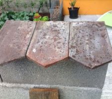 Tuiles plates pointues