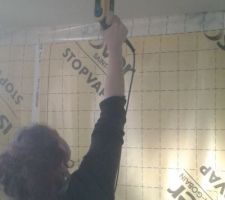 Plafond cellier