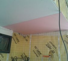 Plafond salon