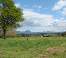 Vue du terrain