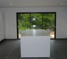 Reste à poser les 3 dominos sur l'ilot.