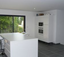 Reste &agrave; poser les 3 dominos sur l'ilot.