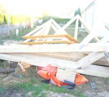 1ere livraison de la charpente, mais trop petite pour notre maison donc nouvelle commande.